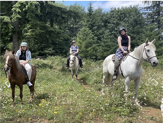 Screenshot 2025-06-14 at 9.32.59 AM