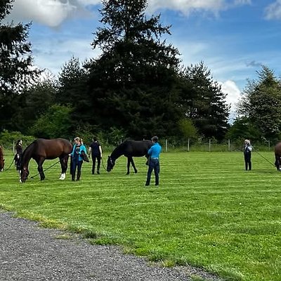 1309138760424206 7809540070140869511 n