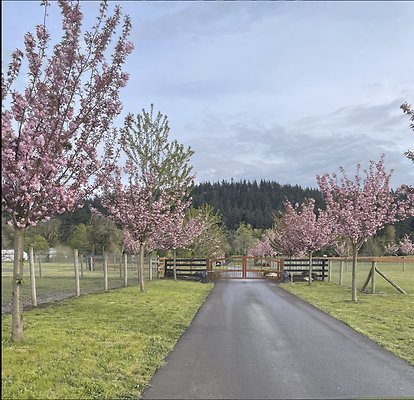 Screenshot 2025-06-14 at 9.59.44 AM