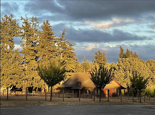 Screenshot 2025-06-14 at 9.59.15 AM