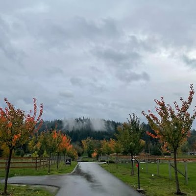 1297067111631371 7008801400044933205 n