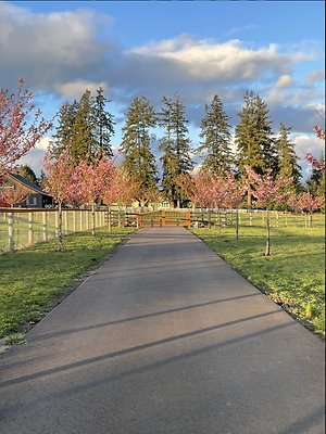 Screenshot 2025-06-14 at 9.59.24 AM