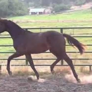 1281701036501312 5080365523060263635 n