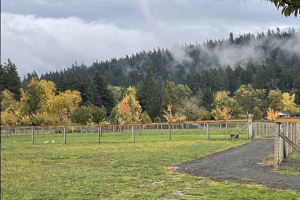 Screenshot 2025-06-14 at 9.59.36 AM