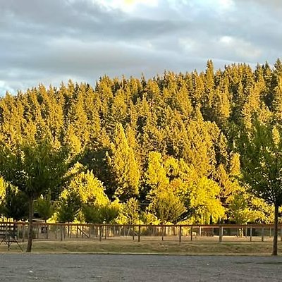 1281203246551091 6334763651001704422 n