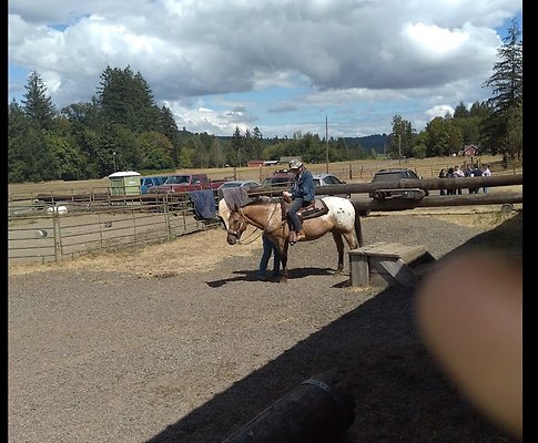 Screenshot 2025-06-14 at 7.36.58 PM