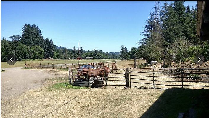 Screenshot 2025-06-14 at 7.33.56 PM