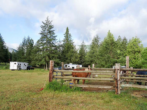 nw-horse-trails-flying-m-9 large