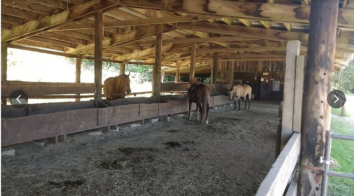 Screenshot 2025-06-14 at 7.35.46 PM