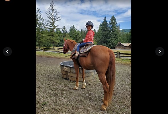 Screenshot 2025-06-14 at 7.33.41 PM