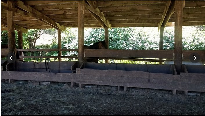 Screenshot 2025-06-14 at 7.34.31 PM