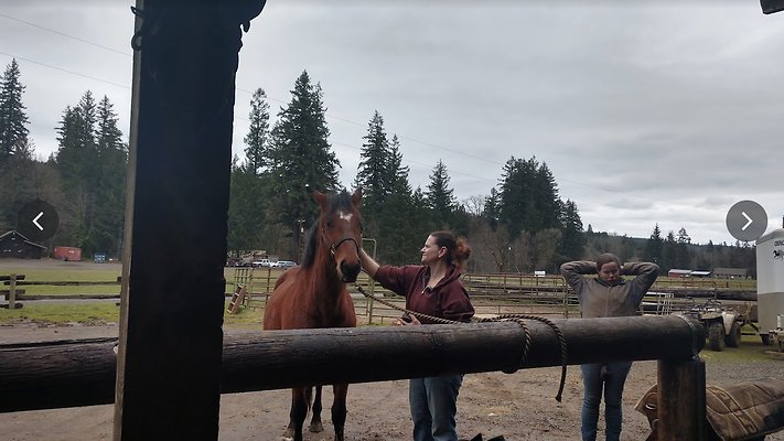 Screenshot 2025-06-14 at 7.36.37 PM