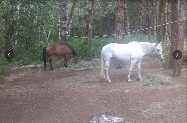 Screenshot 2025-06-14 at 7.34.56 PM