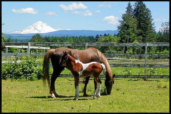 Screenshot 2025-07-01 at 9.08.00 PM