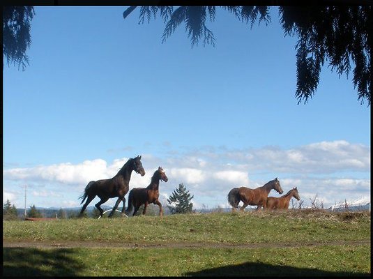 Screenshot 2025-07-01 at 9.07.52 PM