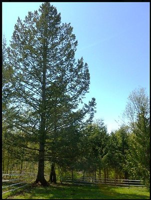 Screenshot 2025-07-01 at 9.08.19 PM