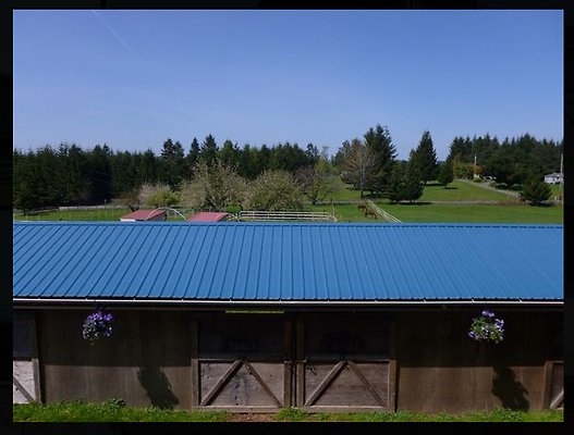 Screenshot 2025-07-01 at 9.08.12 PM