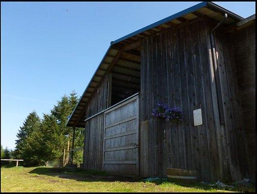 Screenshot 2025-07-01 at 9.07.13 PM