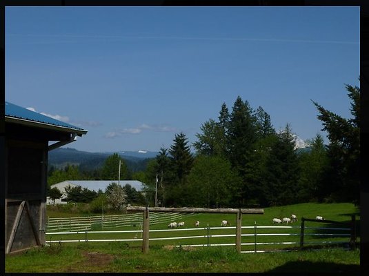 Screenshot 2025-07-01 at 9.08.06 PM