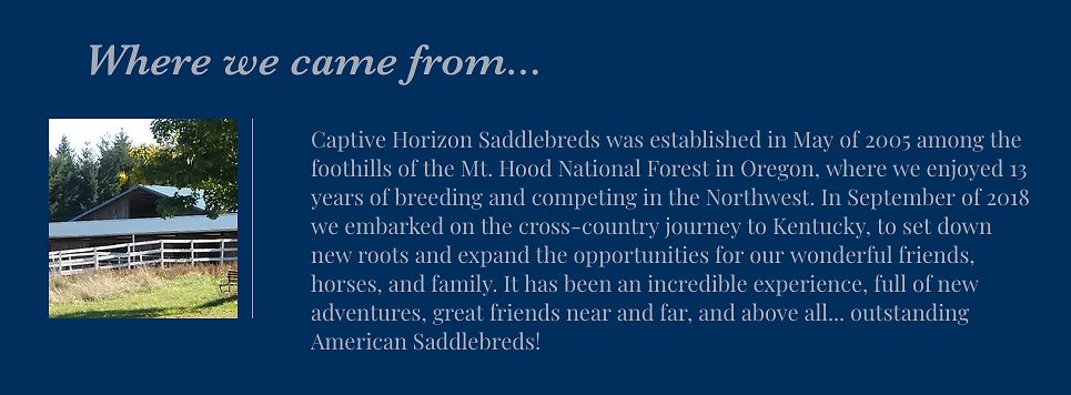 Screenshot 2025-07-01 at 9.10.10 PM