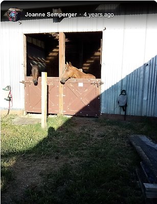 Screenshot 2025-06-14 at 12.46.52 PM