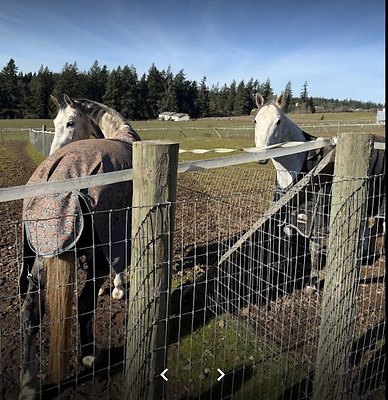 Screenshot 2025-06-14 at 10.57.45 AM