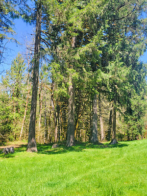 20230428-132104 orig