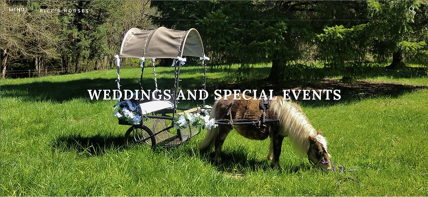 Screenshot 2025-06-14 at 2.51.00 PM