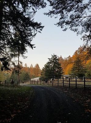 45083852-1146858162157405-3322951862600073216-n