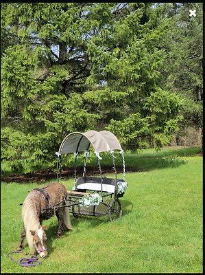 Screenshot 2025-06-14 at 2.51.37 PM