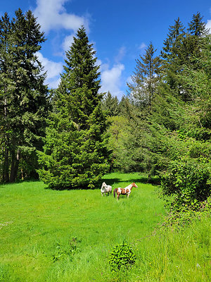 20220507-143513 orig