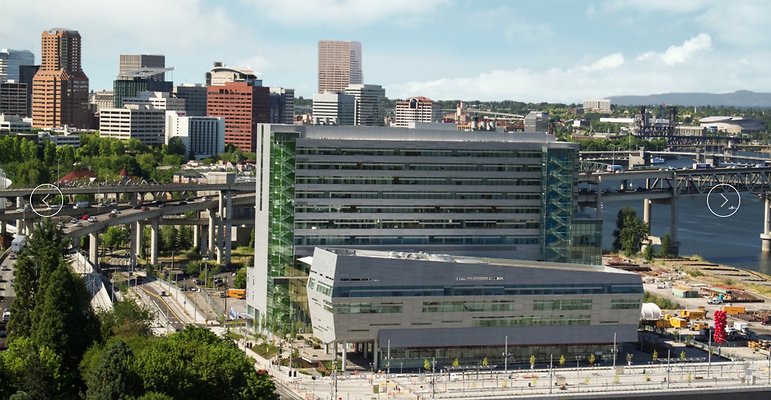 Screen Shot 2020-04-09 at 10.20.57 AM