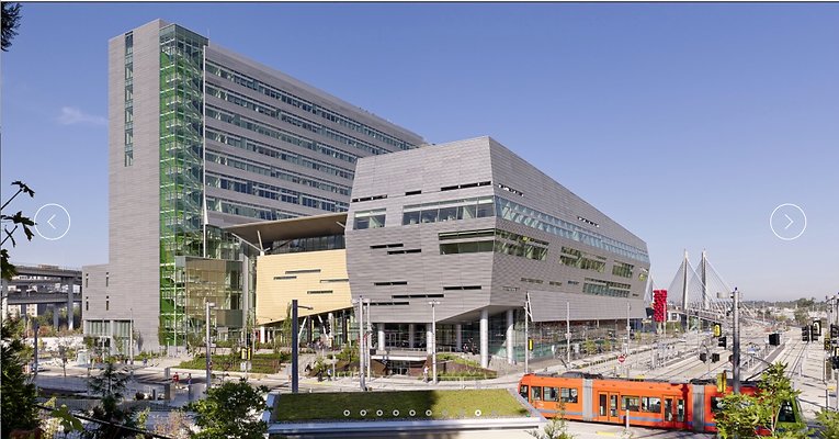 Screen Shot 2020-04-09 at 10.20.44 AM