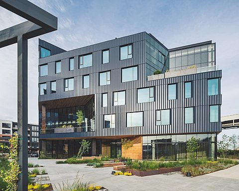 kuda-01032-opt2-med,medium.1528239887