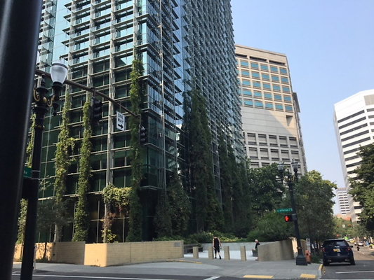 54 Financial District 1 2