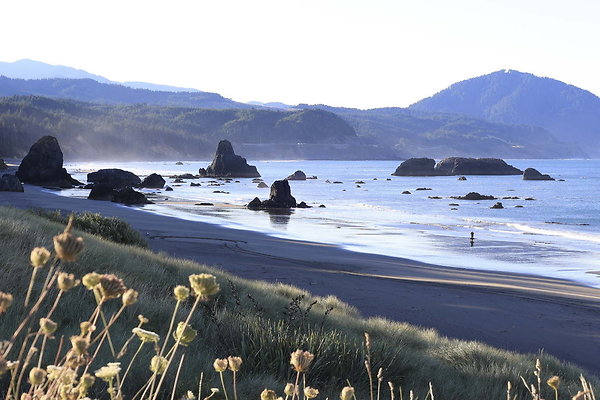 08A Battle Rock State Park