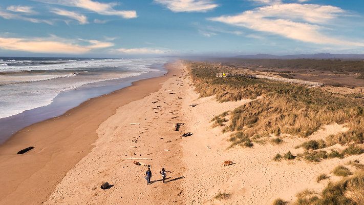 24Spring Dunes horsfall