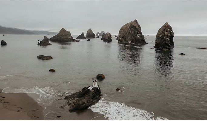 ZScreenshot 2025-06-22 at 9.28.45 AM