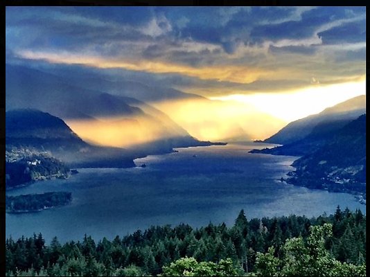 Screenshot 2025-07-01 at 8.36.34 PM