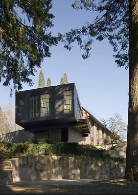 Screen Shot 2019-04-05 at 4.39.45 PM