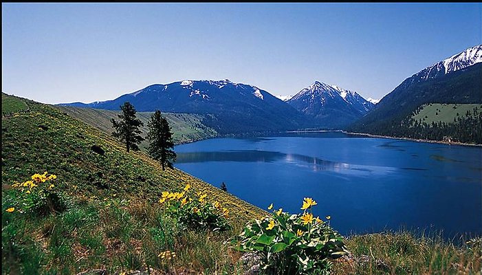 Screenshot 2025-06-19 at 8.40.47 PM