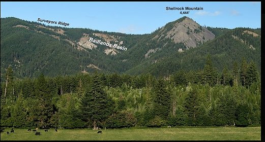 Screenshot 2025-06-18 at 2.49.13 PM