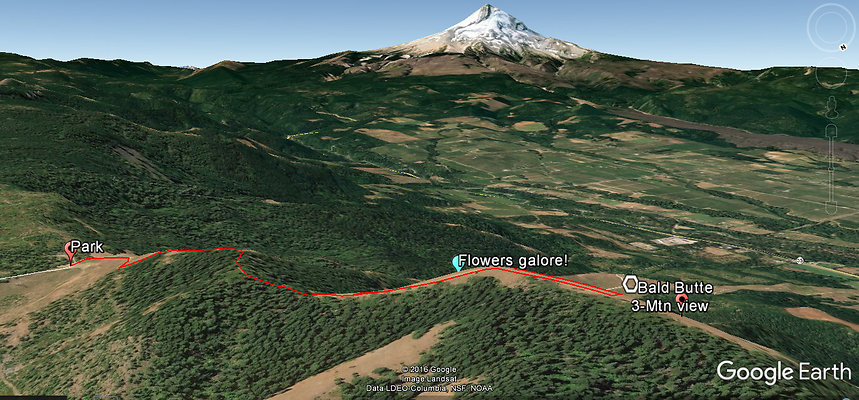 bald-butte-overview-2