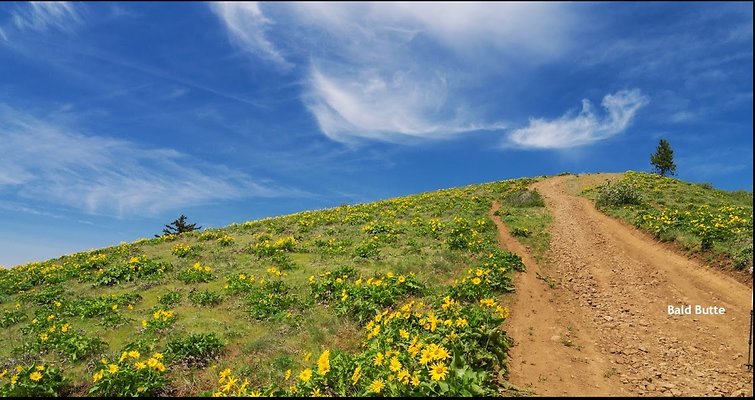 Screenshot 2025-06-18 at 2.49.21 PM