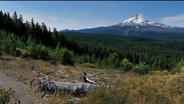 Screenshot 2025-06-18 at 2.49.01 PM