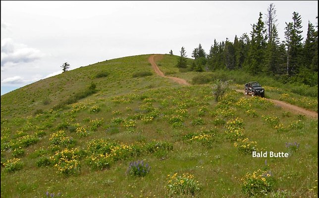 Screenshot 2025-06-18 at 2.49.35 PM