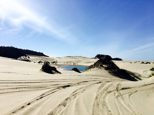 09 Winchester Bay State Park 3.5 Hours