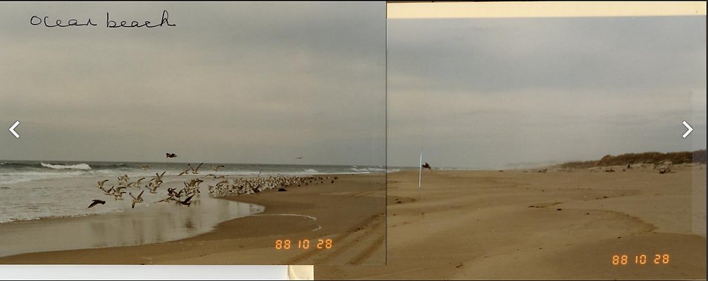 Screenshot 2025-06-18 at 2.35.49 PM