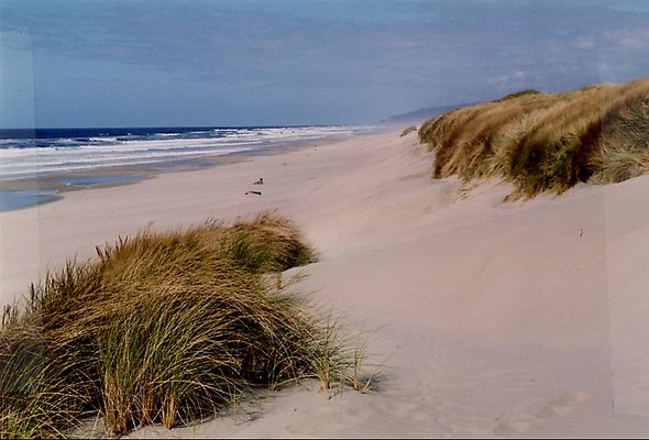 Screenshot 2025-06-18 at 2.34.45 PM