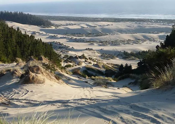 exploring-the-oregon-dunes
